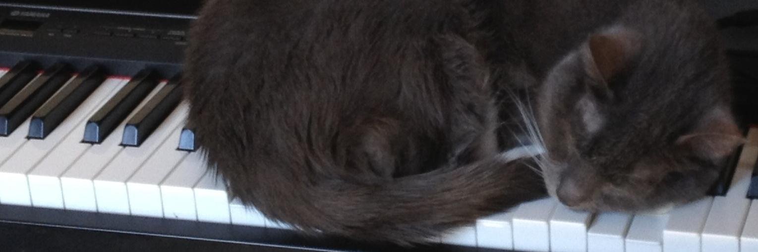 Drew Hemenger banner