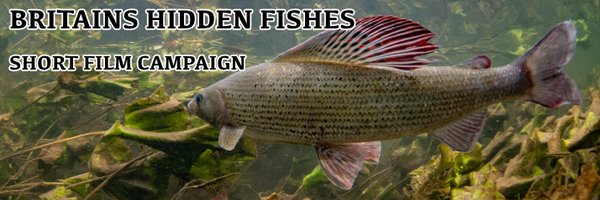 Britains Hidden Fishes Profile Banner