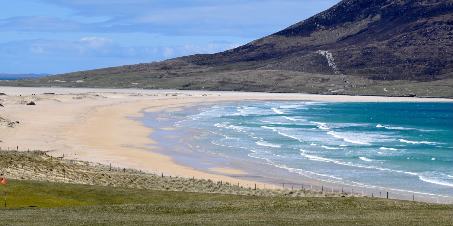 Alison Blofield banner