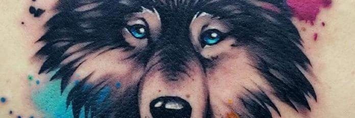 LyraWolf91's profile banner image
