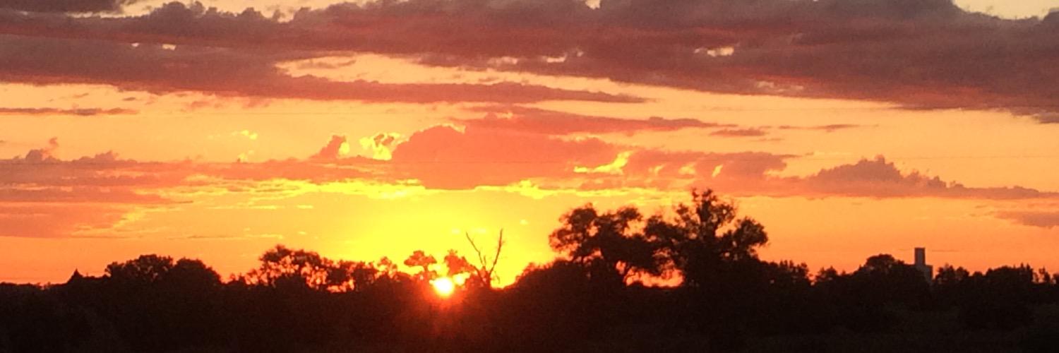 Logan Preister banner