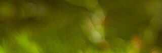 just2jackie's profile banner image