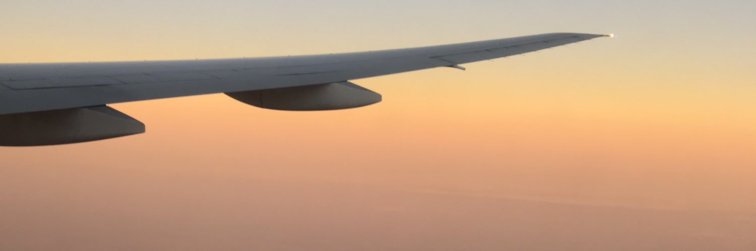 FioreGdansky's profile banner image