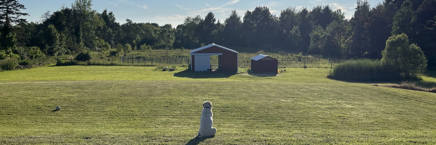 scott gangloff banner