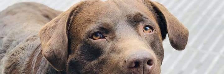 GeorMiche's profile banner image