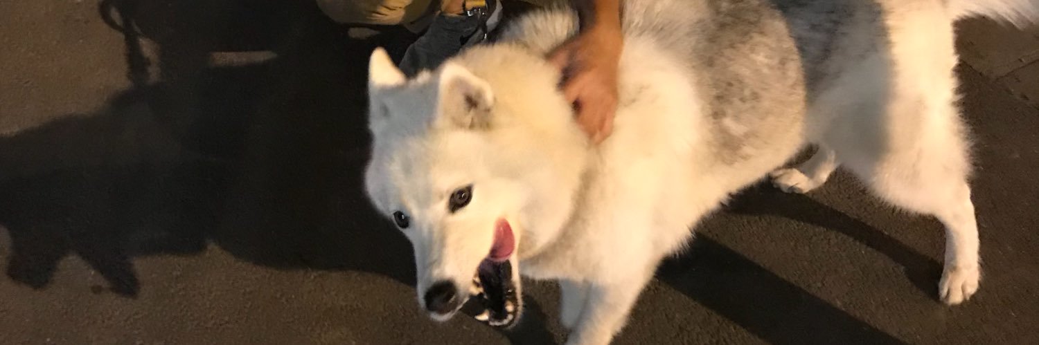 THE ONE BROLIK banner