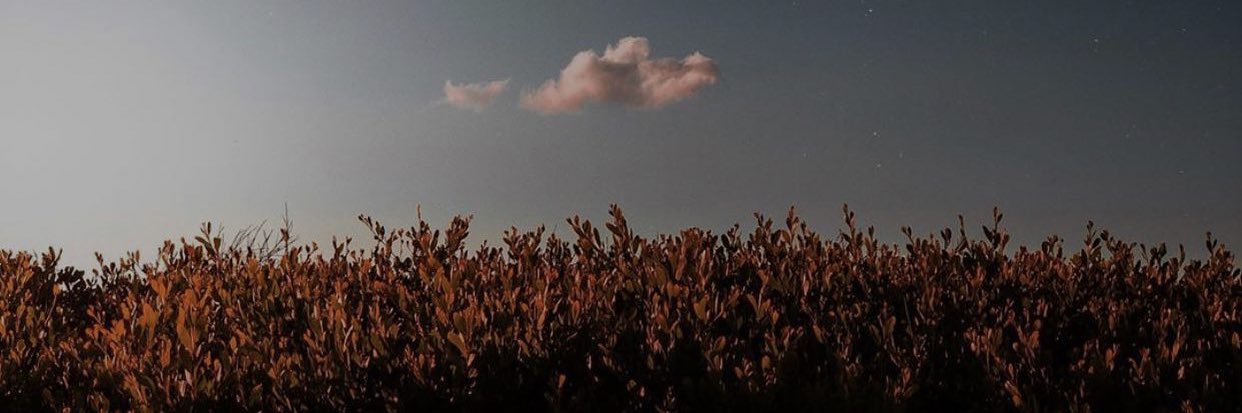 Bilsan_Z's profile banner image