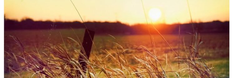 _Kenziejoy's profile banner image