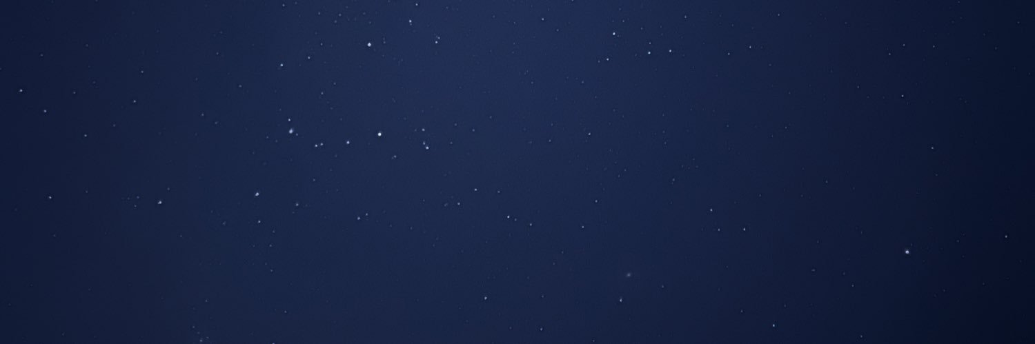 Leo banner