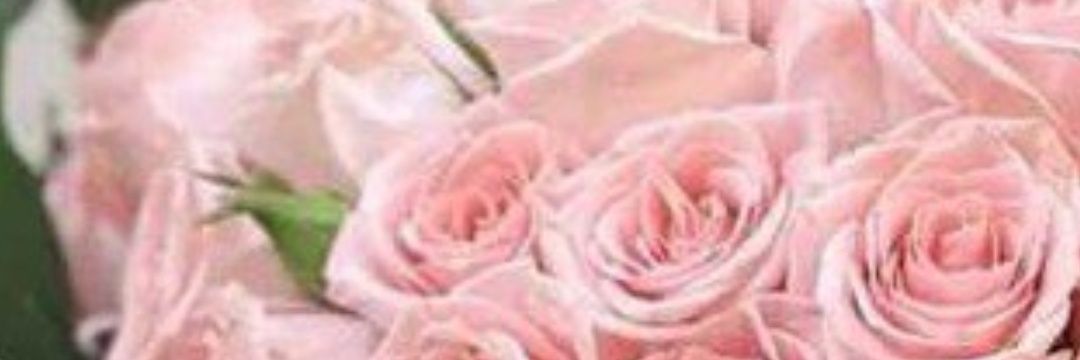 waqq3's profile banner image