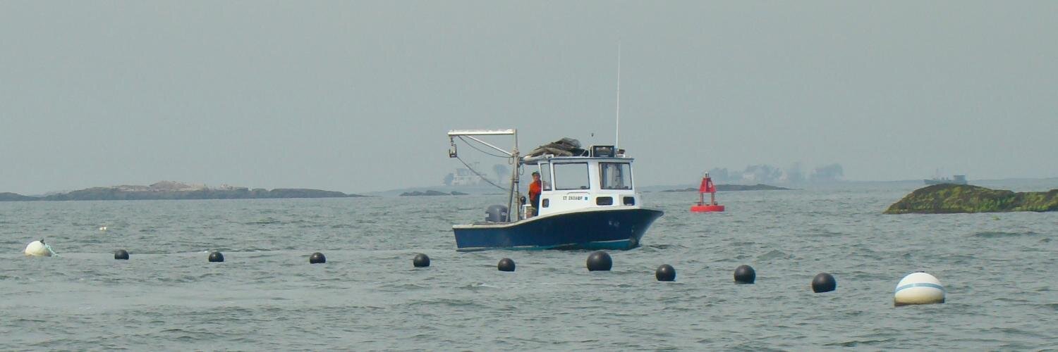 oceanfarmer's profile banner image
