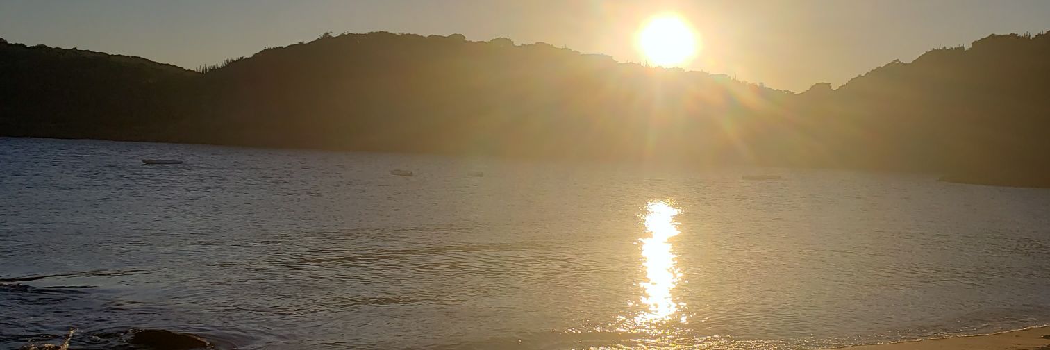 David__bat's profile banner image