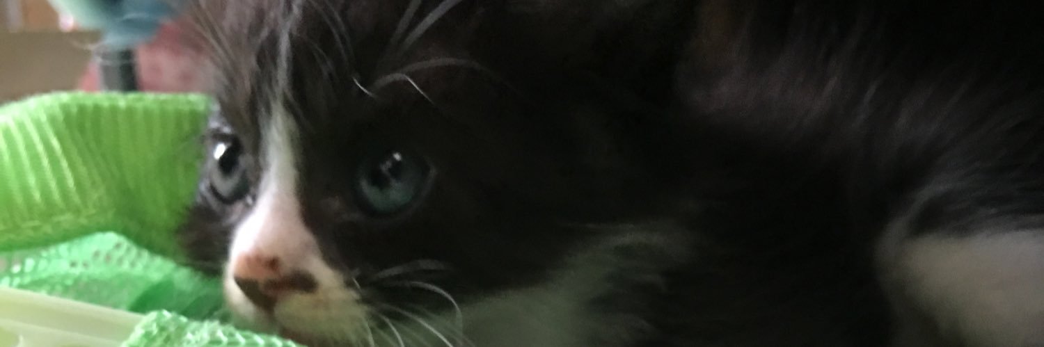 SuiOff's profile banner image