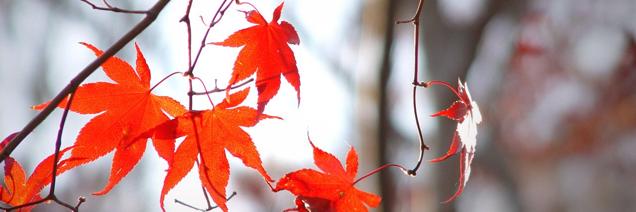 Volodymyr Agafonkin 🇺🇦 banner