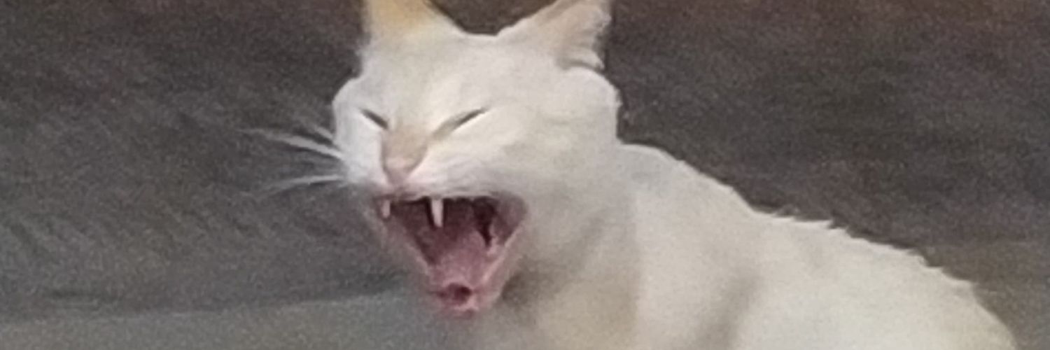 YerardoKat's profile banner image