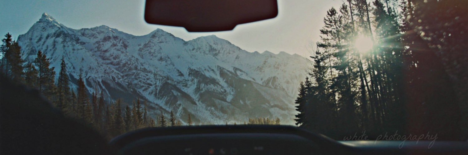 JensenWhitee's profile banner image
