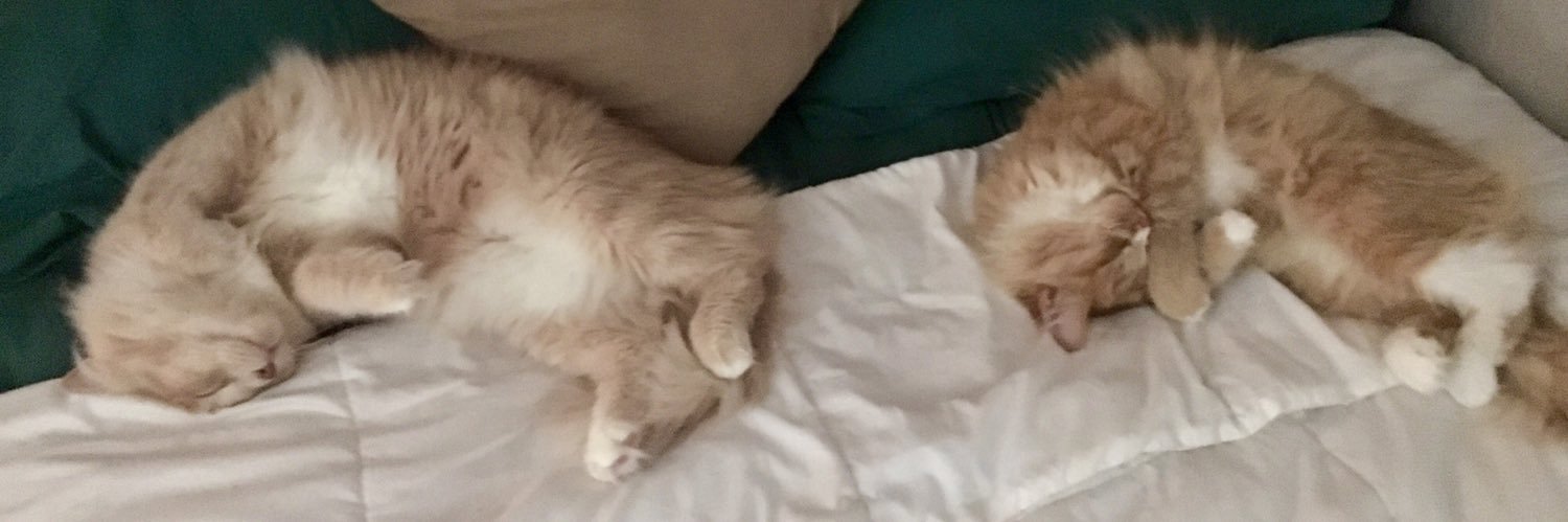 mariah_je's profile banner image