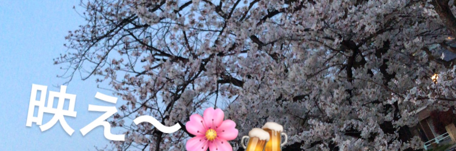 RibonTsu's profile banner image