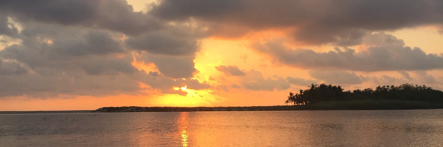 MarisaMerlin's profile banner image
