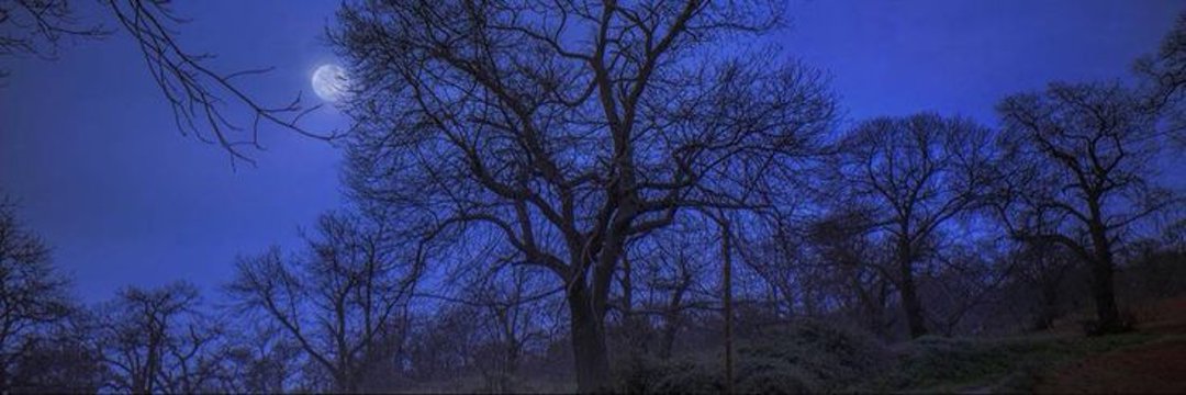 عــصــام banner