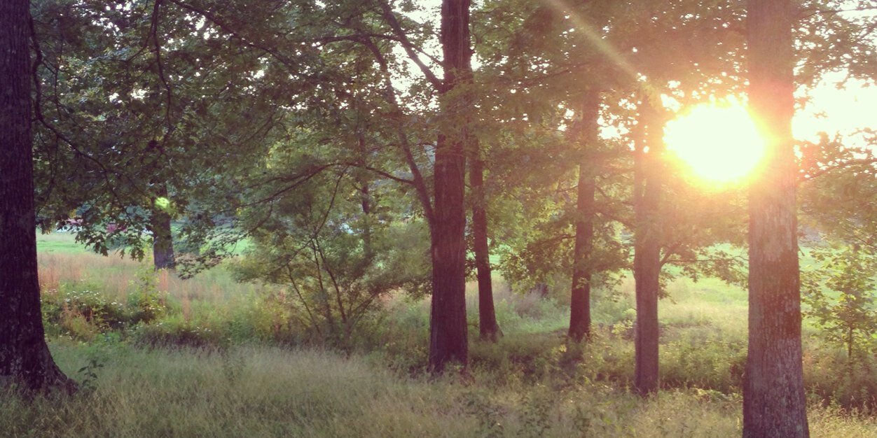Suh_lakeButton's profile banner image