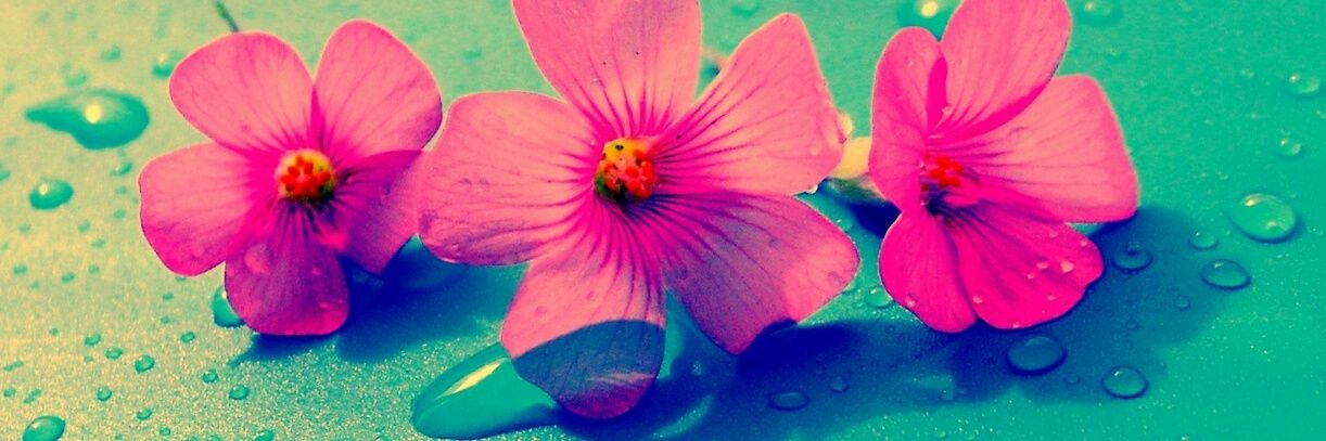AntthoFuentes's profile banner image
