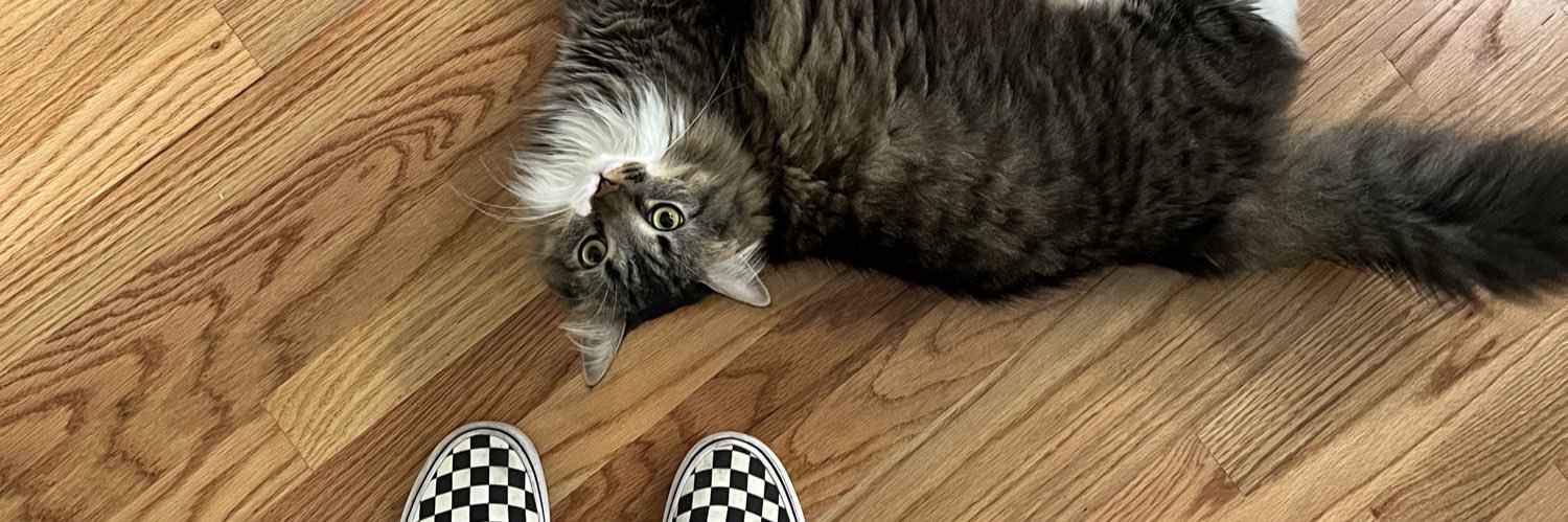 MollyCampbell2's profile banner image