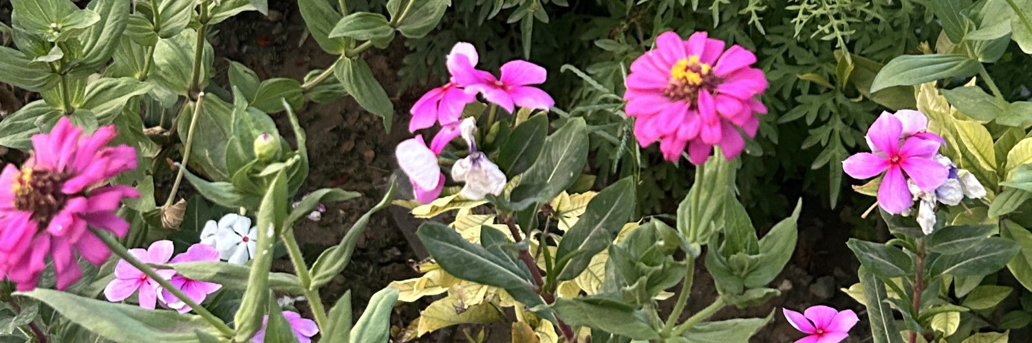 marmaidprncess's profile banner image
