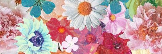 E2Grace's profile banner image