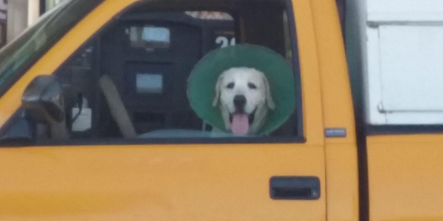 Richard Robinette banner