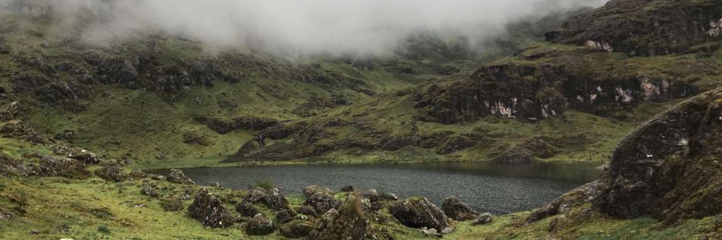 EricksonAlden's profile banner image