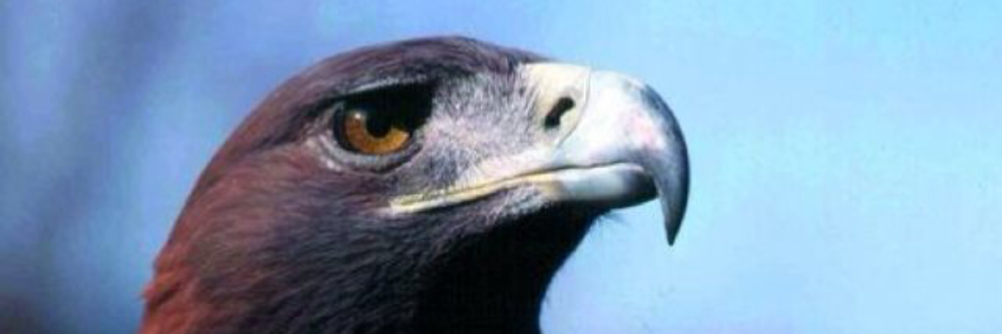 and_alfano's profile banner image