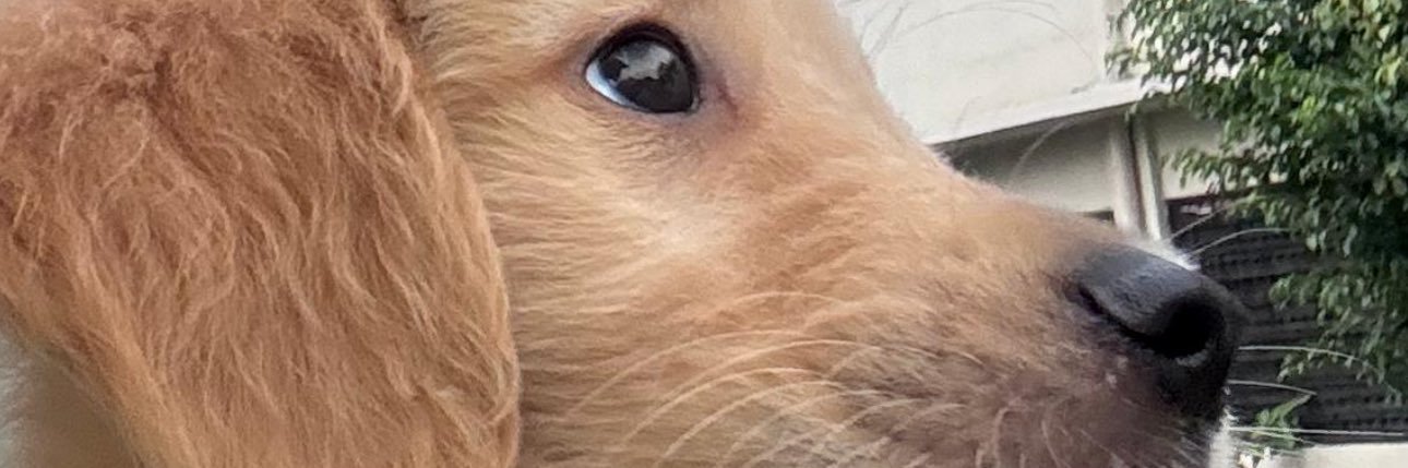miriamvjim's profile banner image
