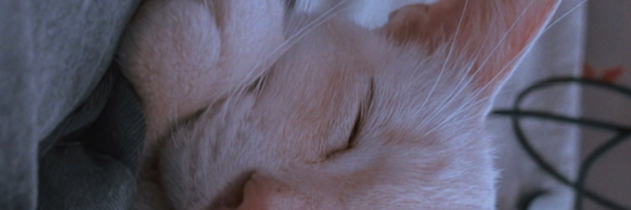 allicantu8's profile banner image
