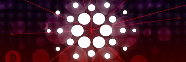 VinasCrypto's profile banner image