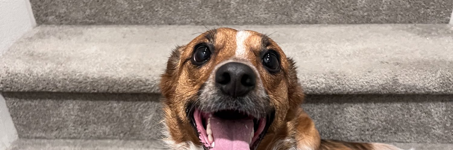 emi automatic banner