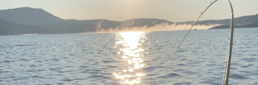 WalkaWalka_17's profile banner image