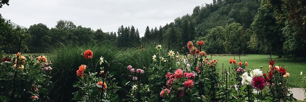 Ashley_Atwood8's profile banner image