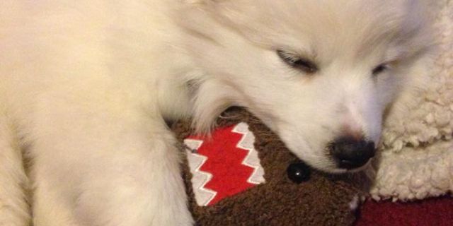 veebabaayx33's profile banner image