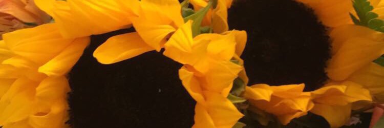 Rin_Ortiz's profile banner image