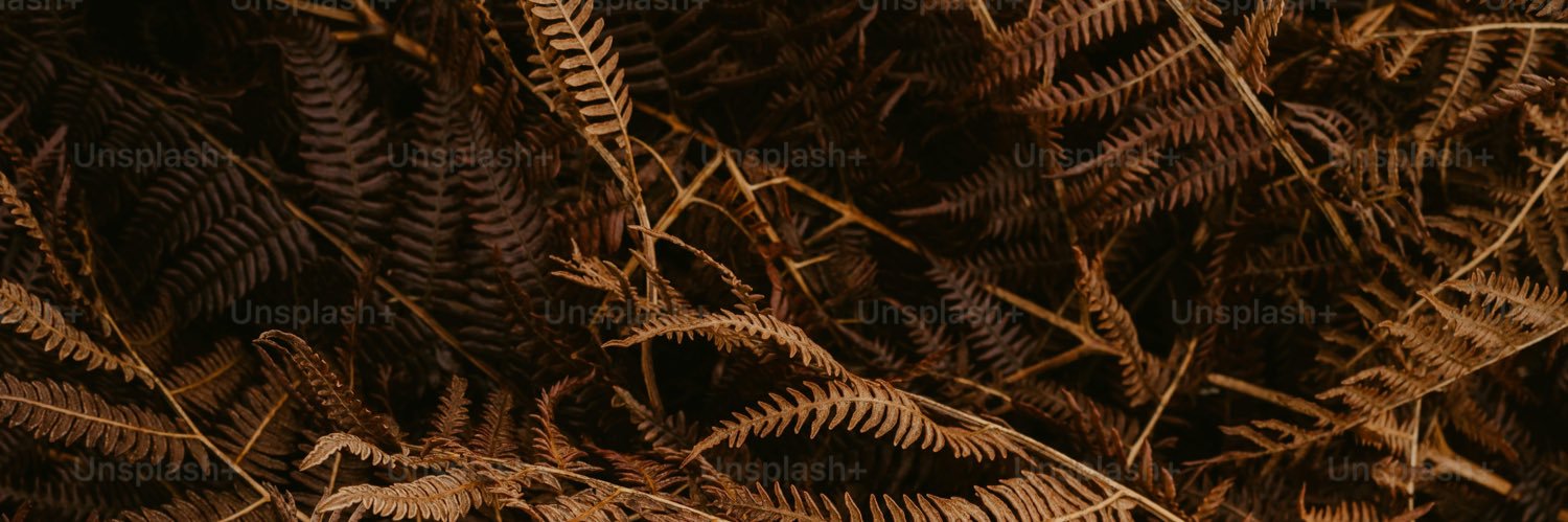 ❤️ banner