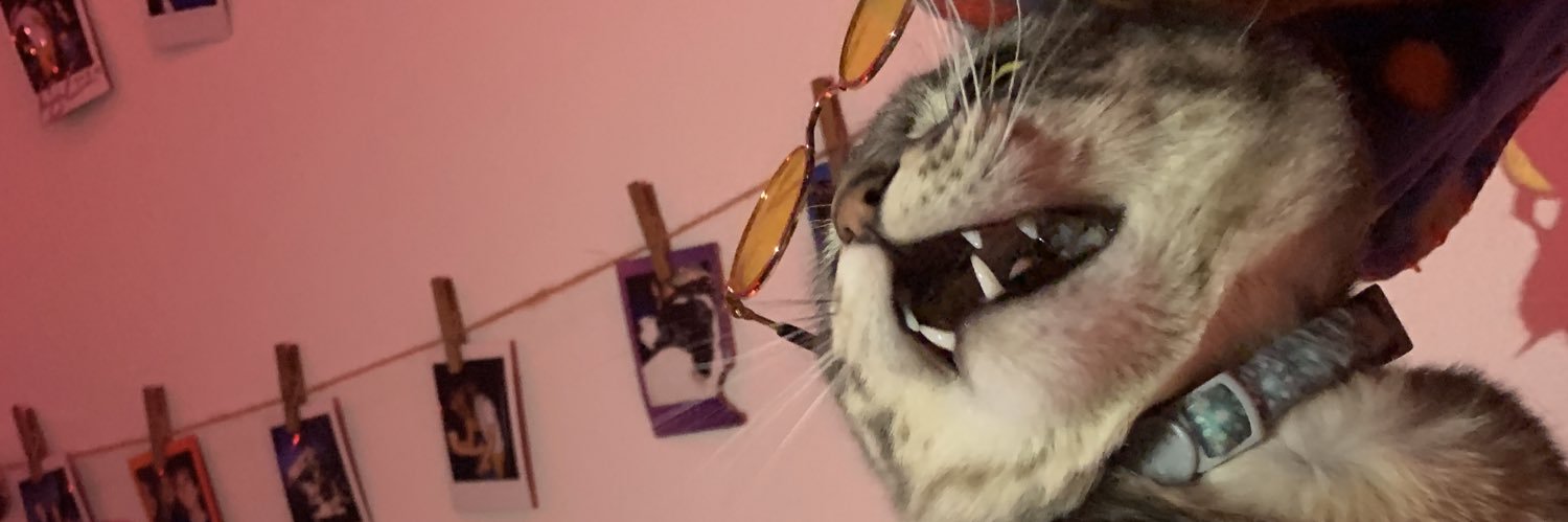 StameyMax's profile banner image