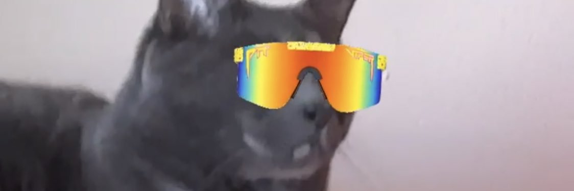 buckysHBW's profile banner image