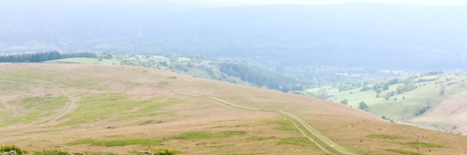 teaeyeem's profile banner image