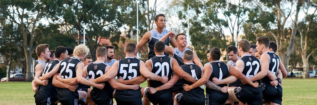 AFL New Zealand banner
