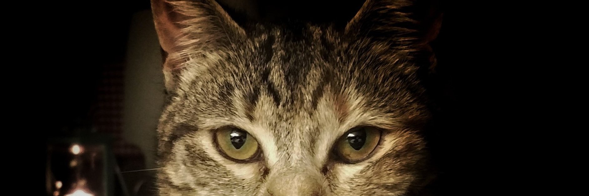 jordivincent's profile banner image