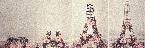 Niruska🌟🐦‍🔥Luto x Yeimy - Campeón Mundial ⚾️🏆 banner