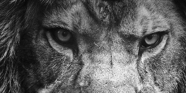 Wander_Valdez's profile banner image