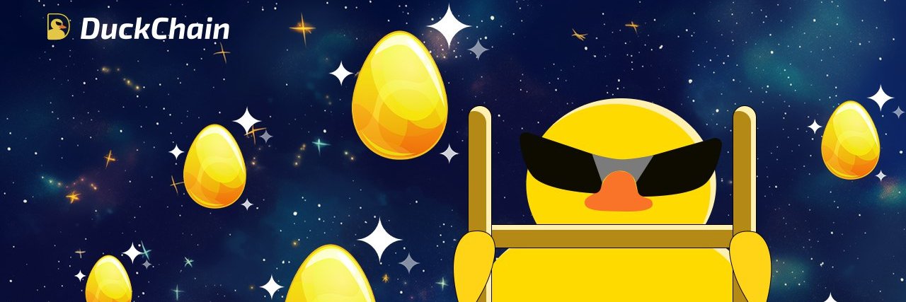 Duck_Chain_fnd's profile banner image