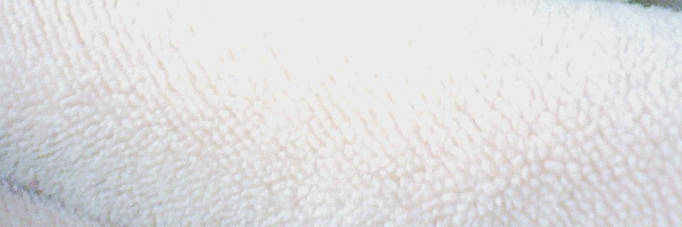 RTX5090's profile banner image